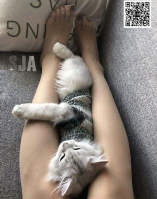 国产调教免费专区_国产剧在线手机播放