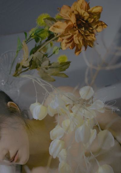 欧美视频黄_剧情片在线播放