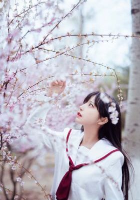 欧美成人精品一区二区男人看_蓝光免费观看韩国